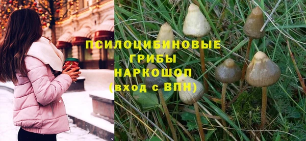 прущая мука Баксан